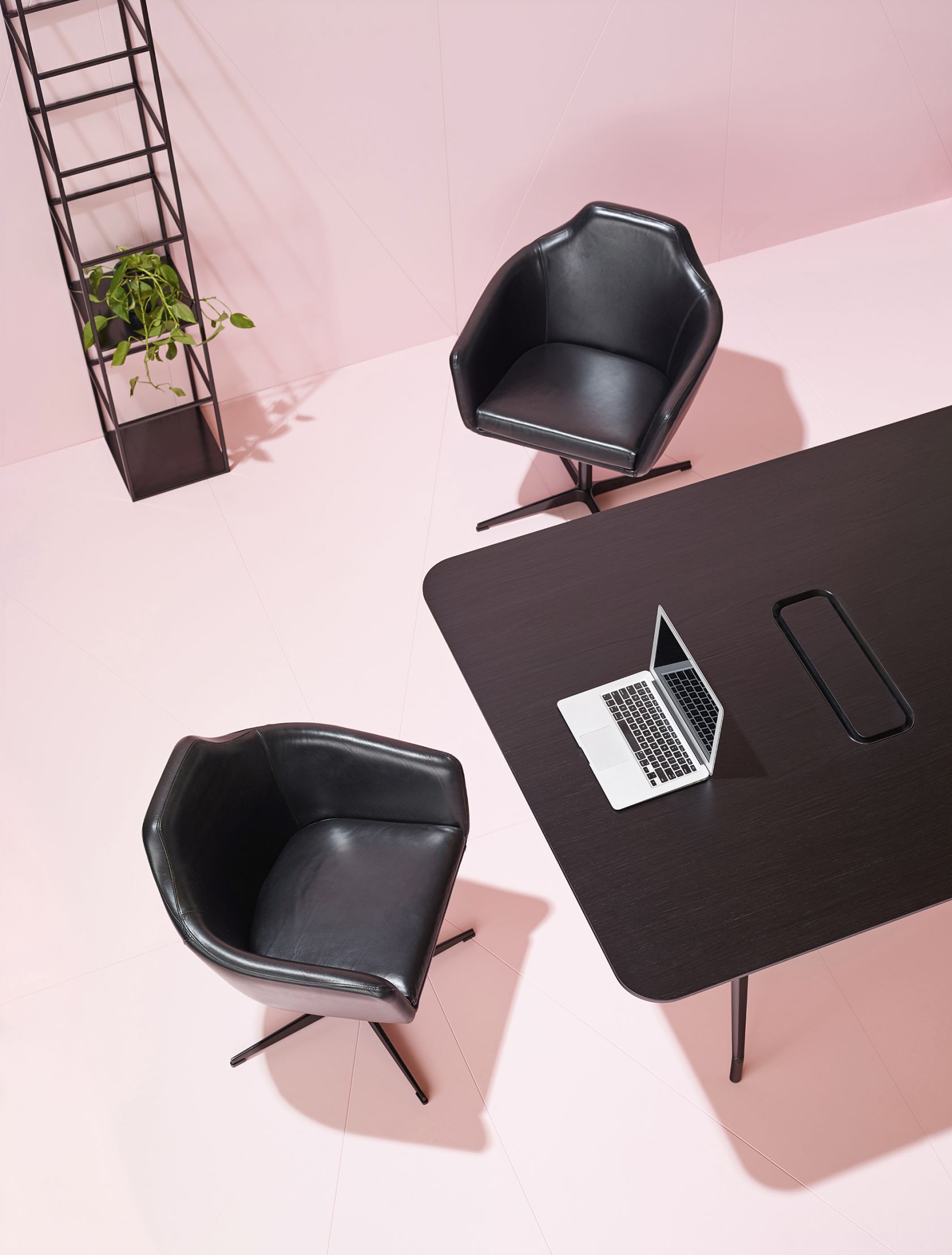 furniture, table, chair, plant, tabletop, indoors, computer, electronics, laptop, pc