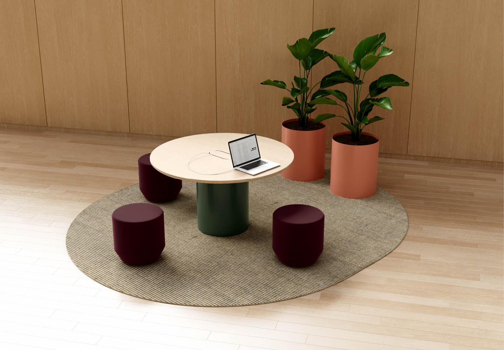 coffee table, furniture, table, plant, potted plant, home decor, rug, laptop, pc, desk