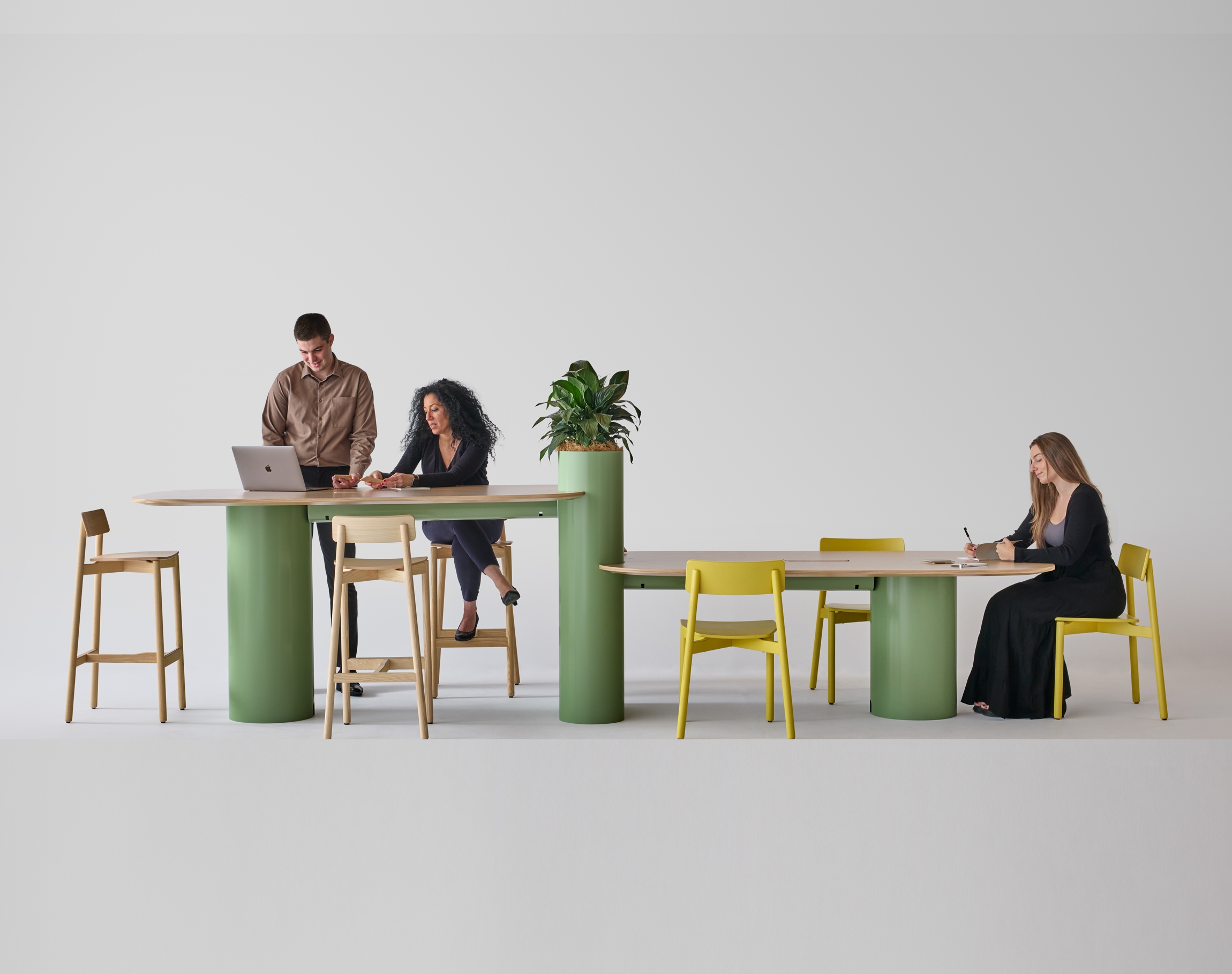 furniture, table, adult, female, person, woman, desk, chair, laptop, plant