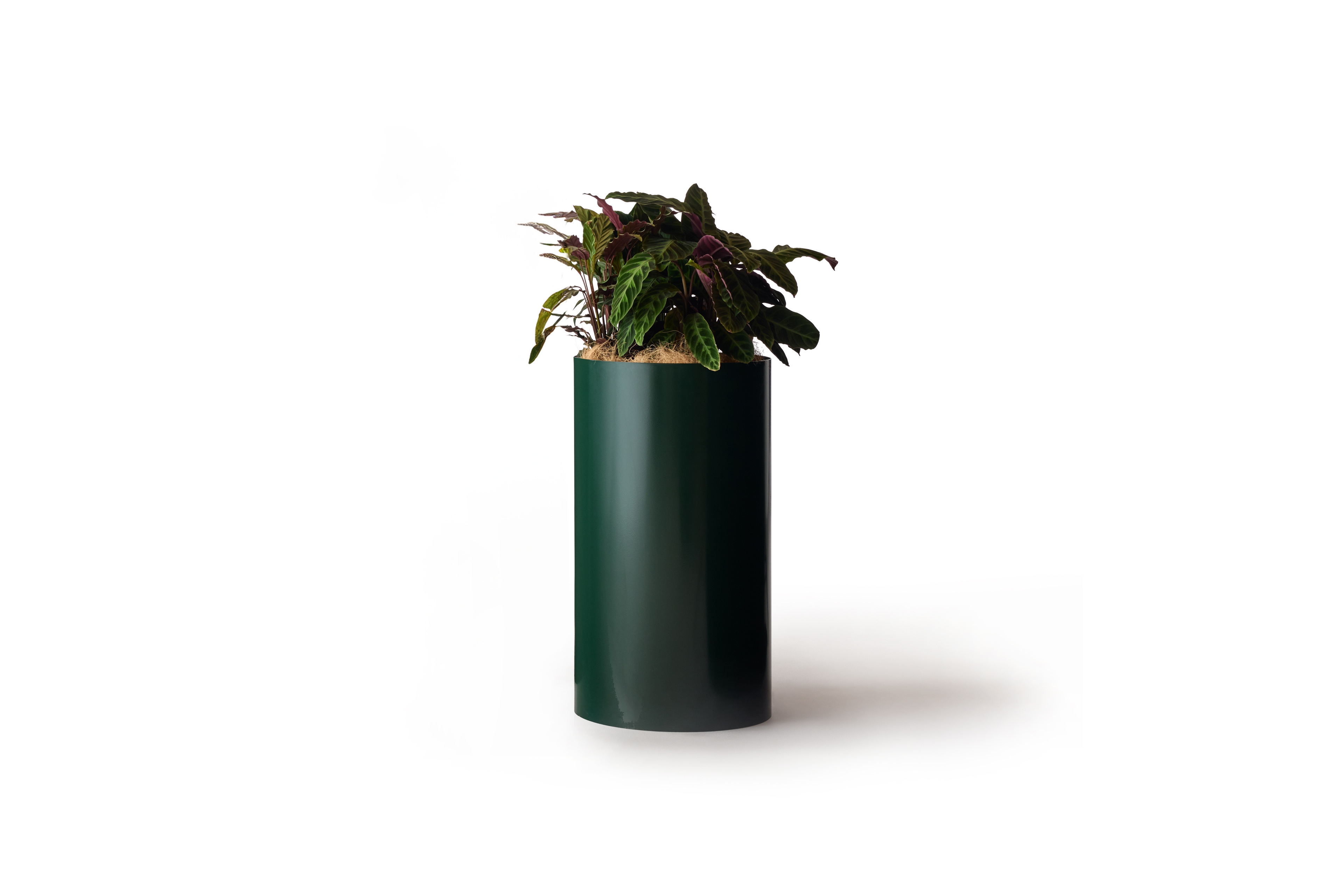 Single Planter