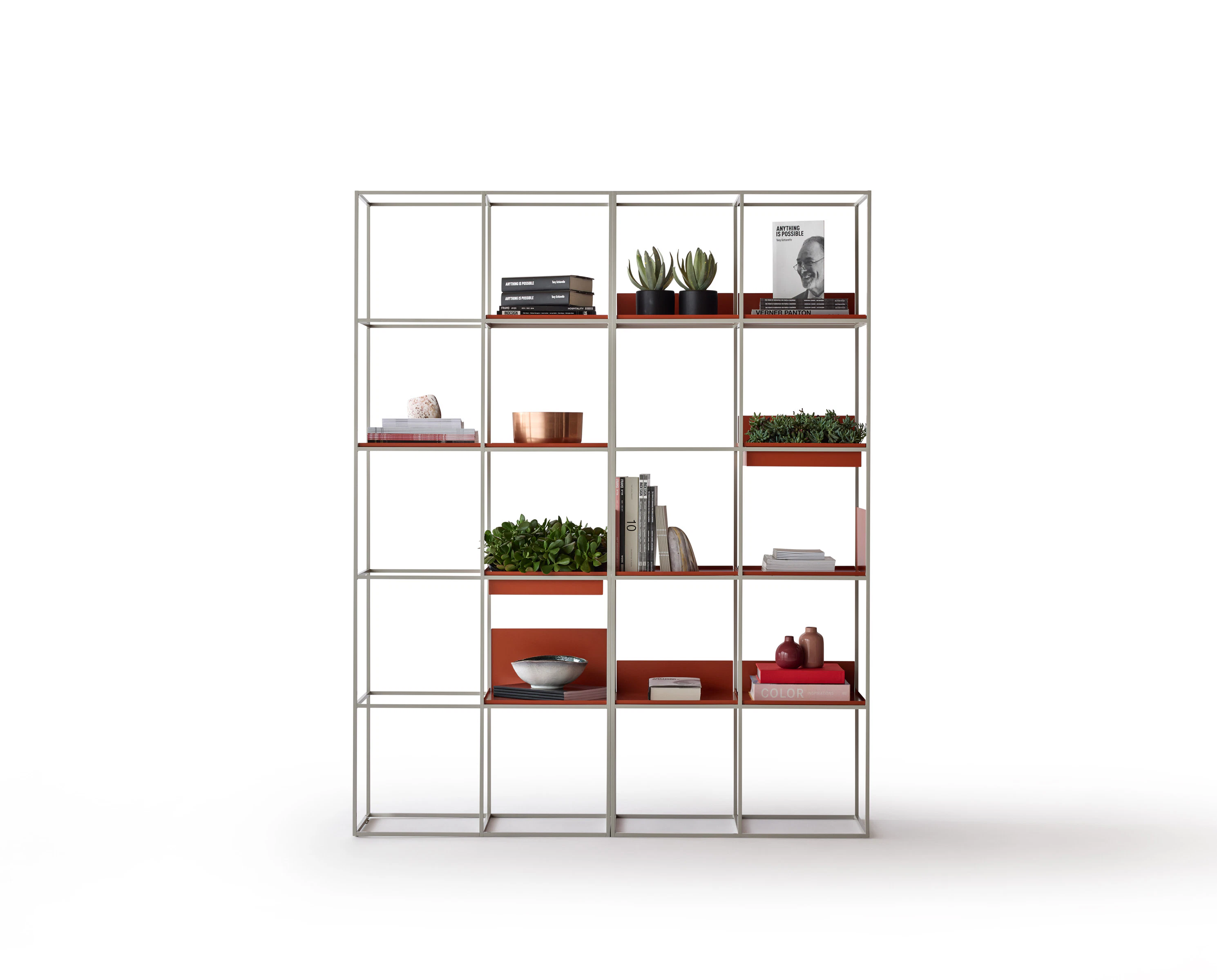 shelf, furniture, bookcase, plant
